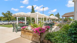 Beautiful Gardens and Patios