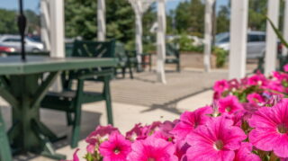 Beautiful Gardens and Patios