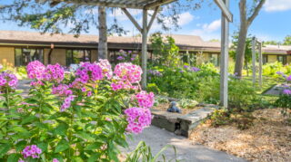Beautiful Gardens and Patios