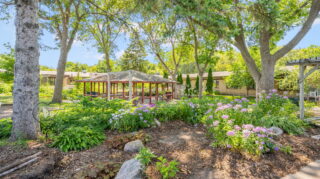 Beautiful Gardens and Patios